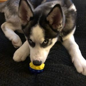 Meet your Posher, Ciara